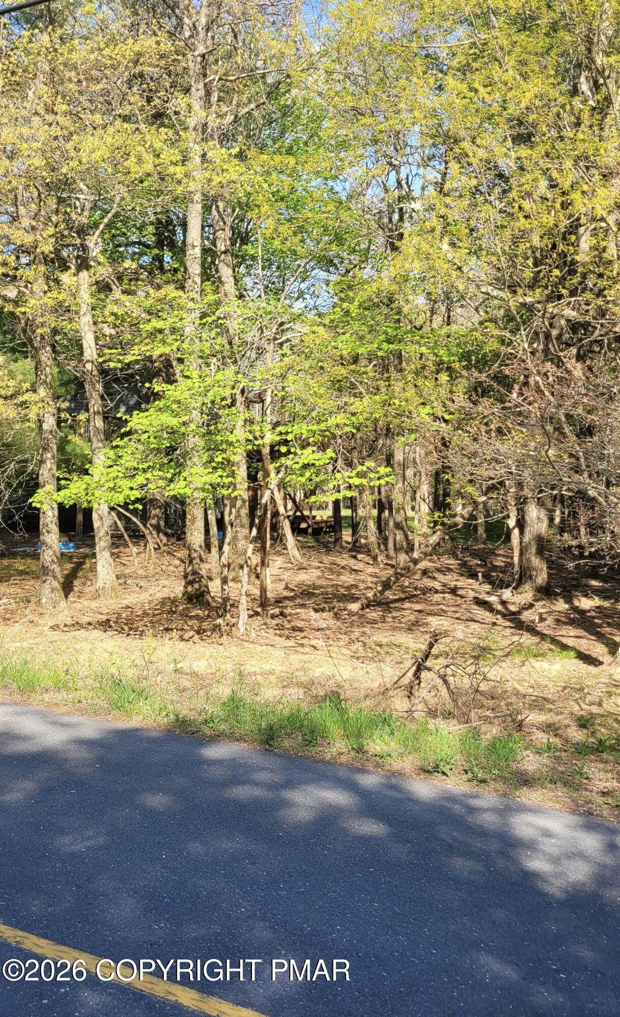 D2019 Penn Forest Trail