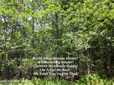 Vacant Land For Sale - Safro 2 Ct 6 Court<br/> Monroe County, Pocono Lake, PA 18347