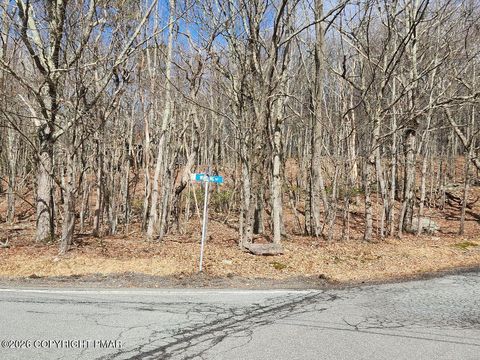 Vacant Land For Sale - 2604 Arciel Drive<br/> Albrightsville, PA 18210