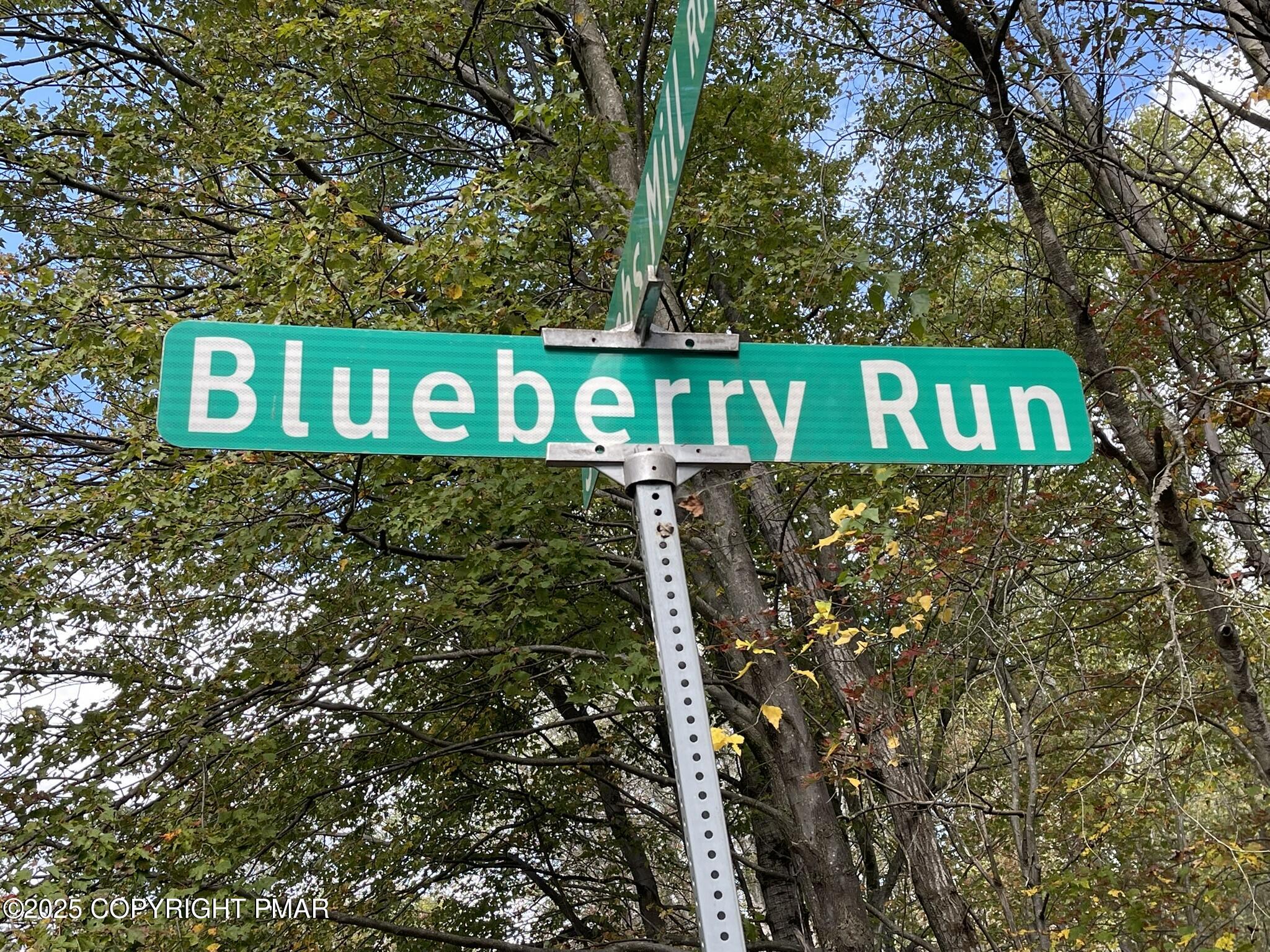 Lot 54 Blueberry Run aka Deer Run 52