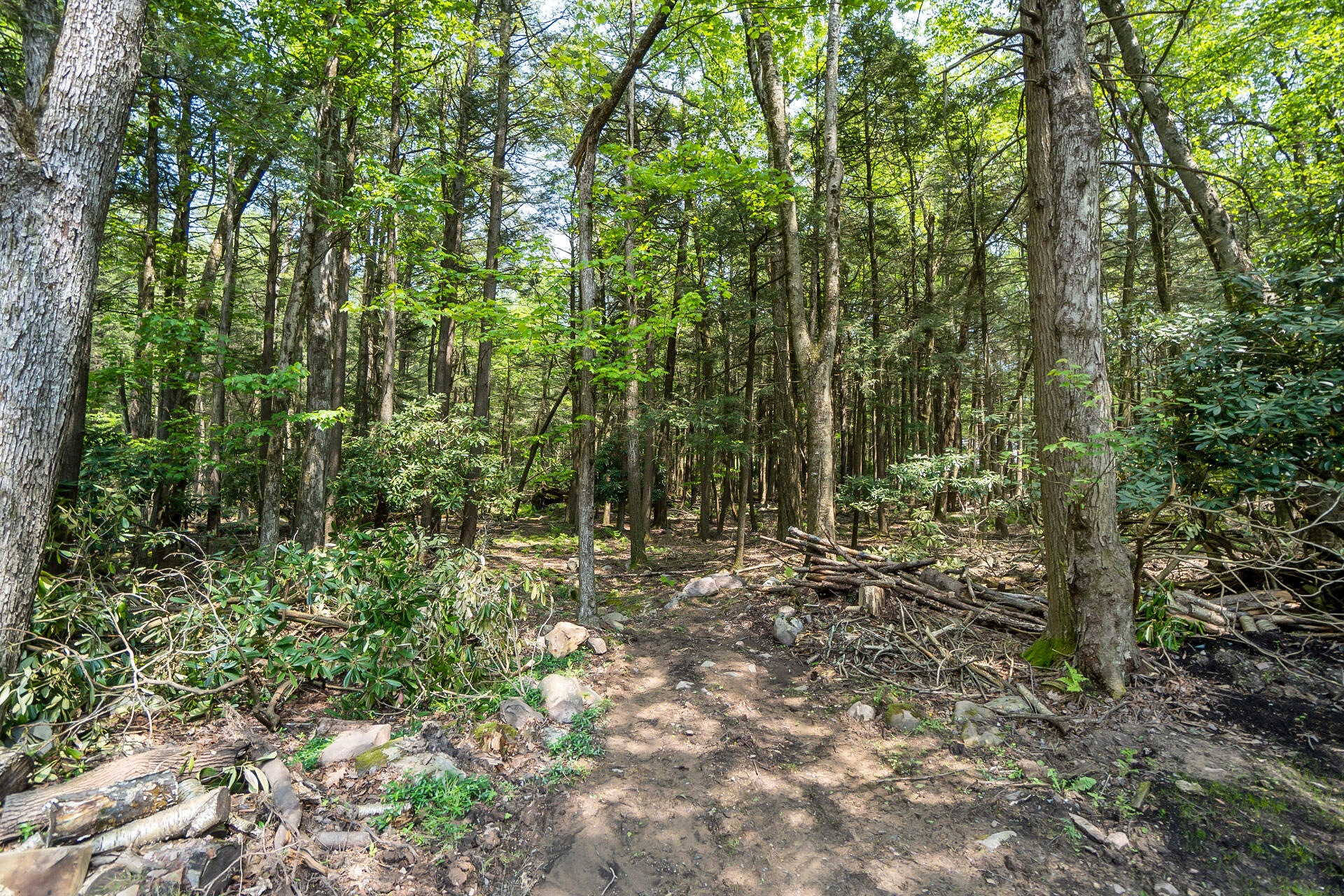18 Holiday Drive, Albrightsville, Pennsylvania image 11