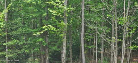 LOT 406 ASH Drive Pocono Summit PA 18346