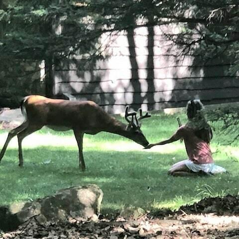 120 Tomhickon Trail Trl, Pocono Lake, Pennsylvania image 41