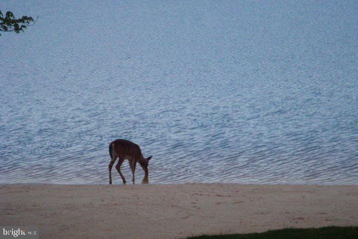 120 Tomhickon Trail Trl, Pocono Lake, Pennsylvania image 31