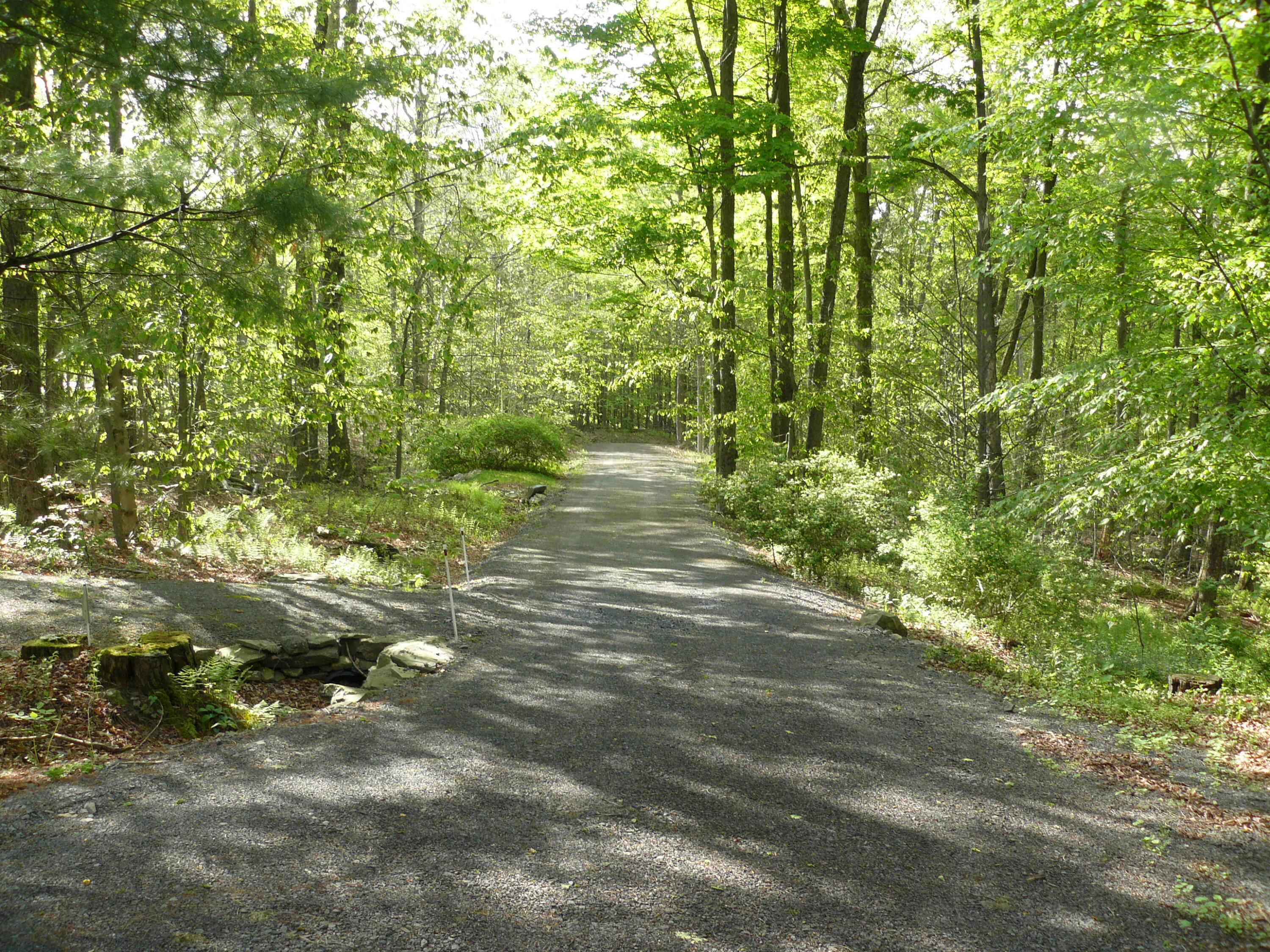 1006 Mill Creek Road, Newfoundland, Pennsylvania image 25