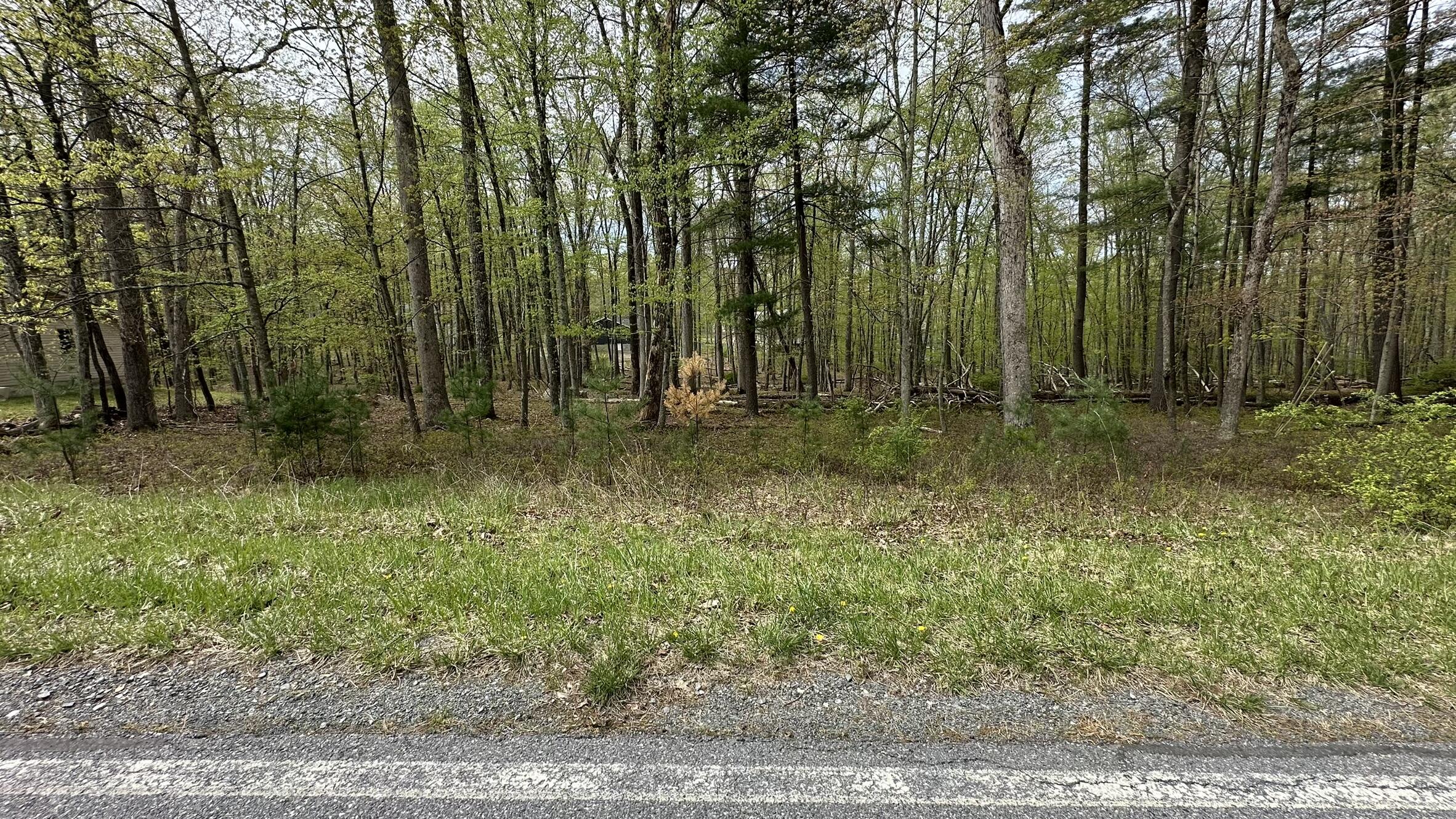 Lot 3144 Kirkham Road, Bushkill, Pennsylvania image 4