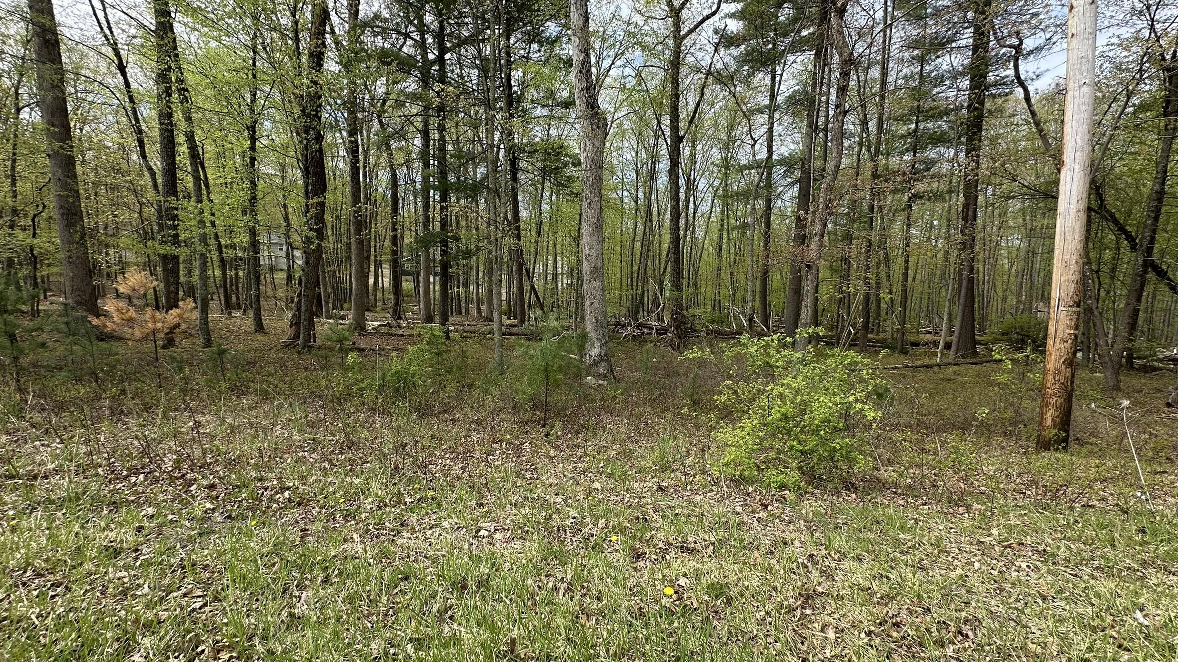 Lot 3144 Kirkham Road, Bushkill, Pennsylvania image 2