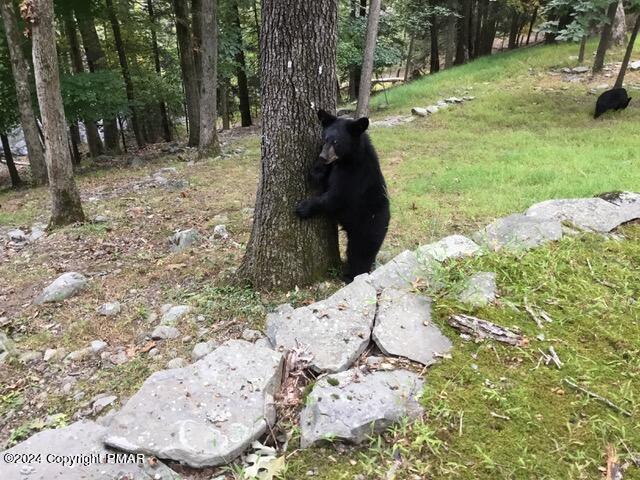 291 Manchester Drive, Bushkill, Pennsylvania image 13