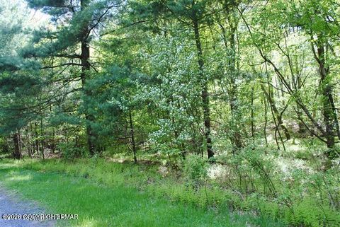 Vacant Land For Sale - LOT 6 Outer Dr 6 Drive<br/> Pocono Lake, PA 18347