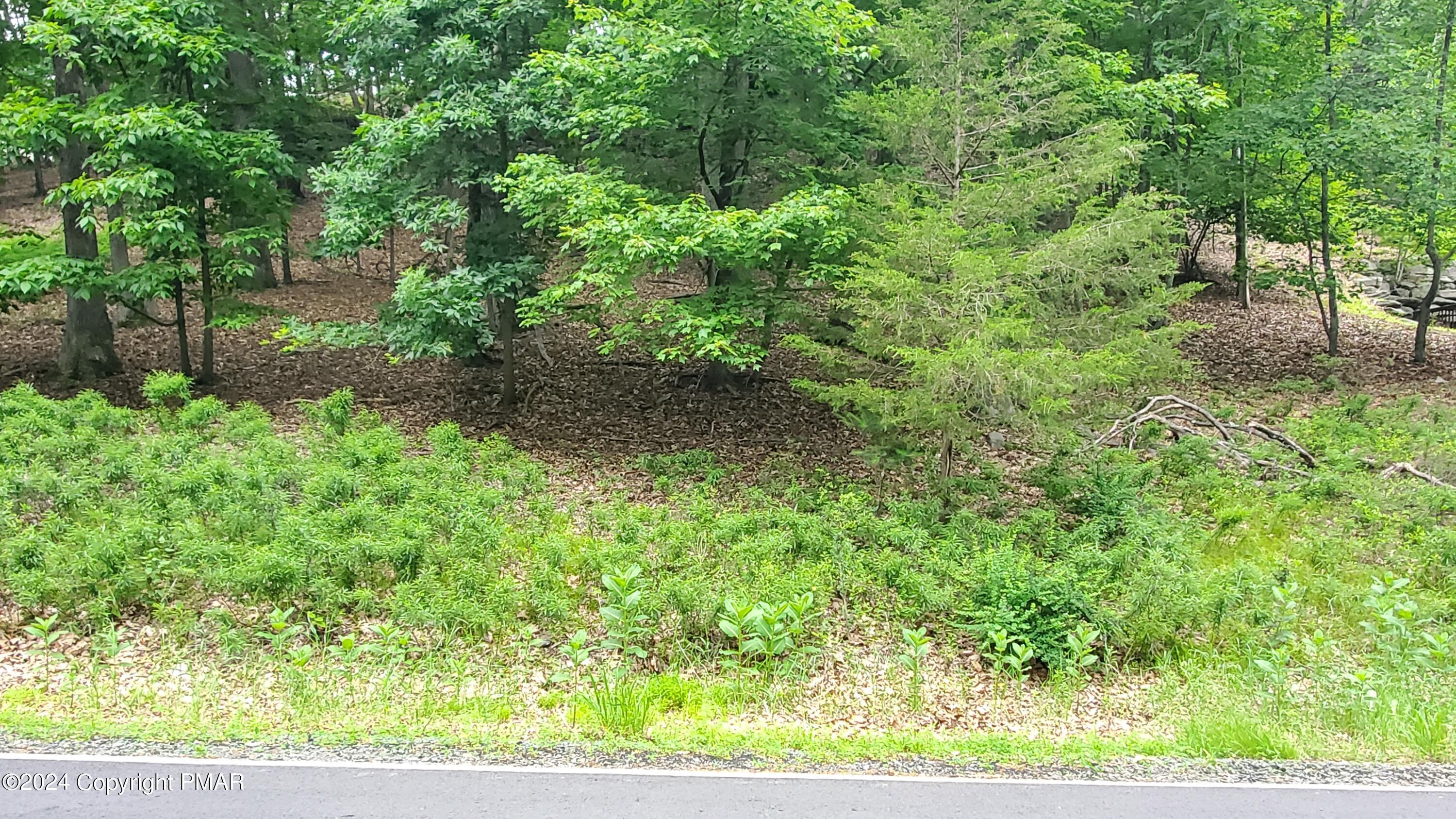 Lot 1895 Stafford Drive, Bushkill, Pennsylvania image 4