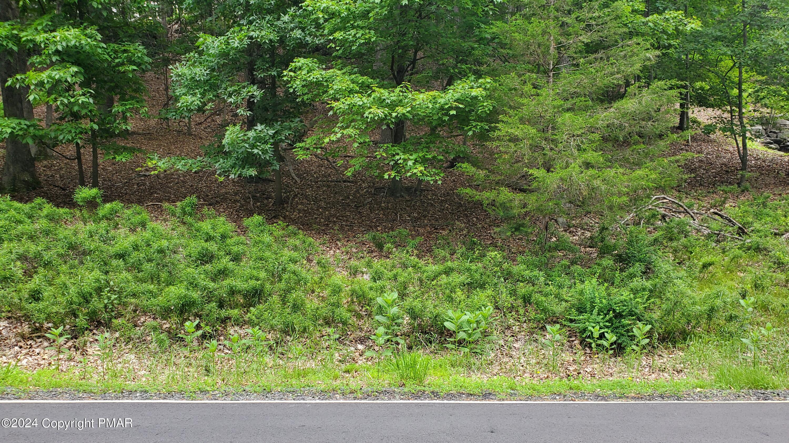 Lot 1895 Stafford Drive, Bushkill, Pennsylvania image 3