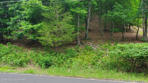 Lot 1895 Stafford Drive Bushkill PA 18324