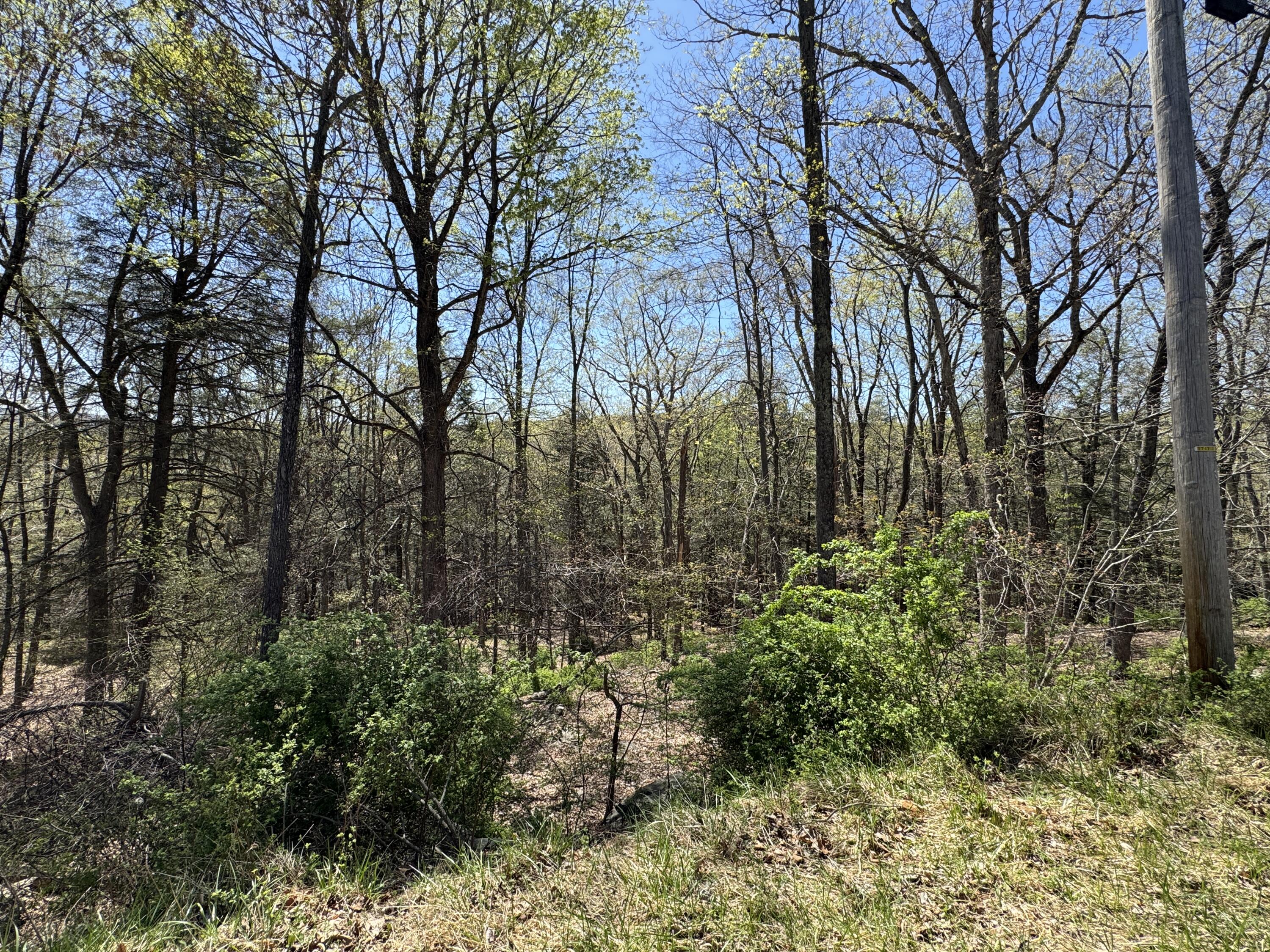 Lots 1992 & 1993 Manchester Drive, Bushkill, Pennsylvania image 2