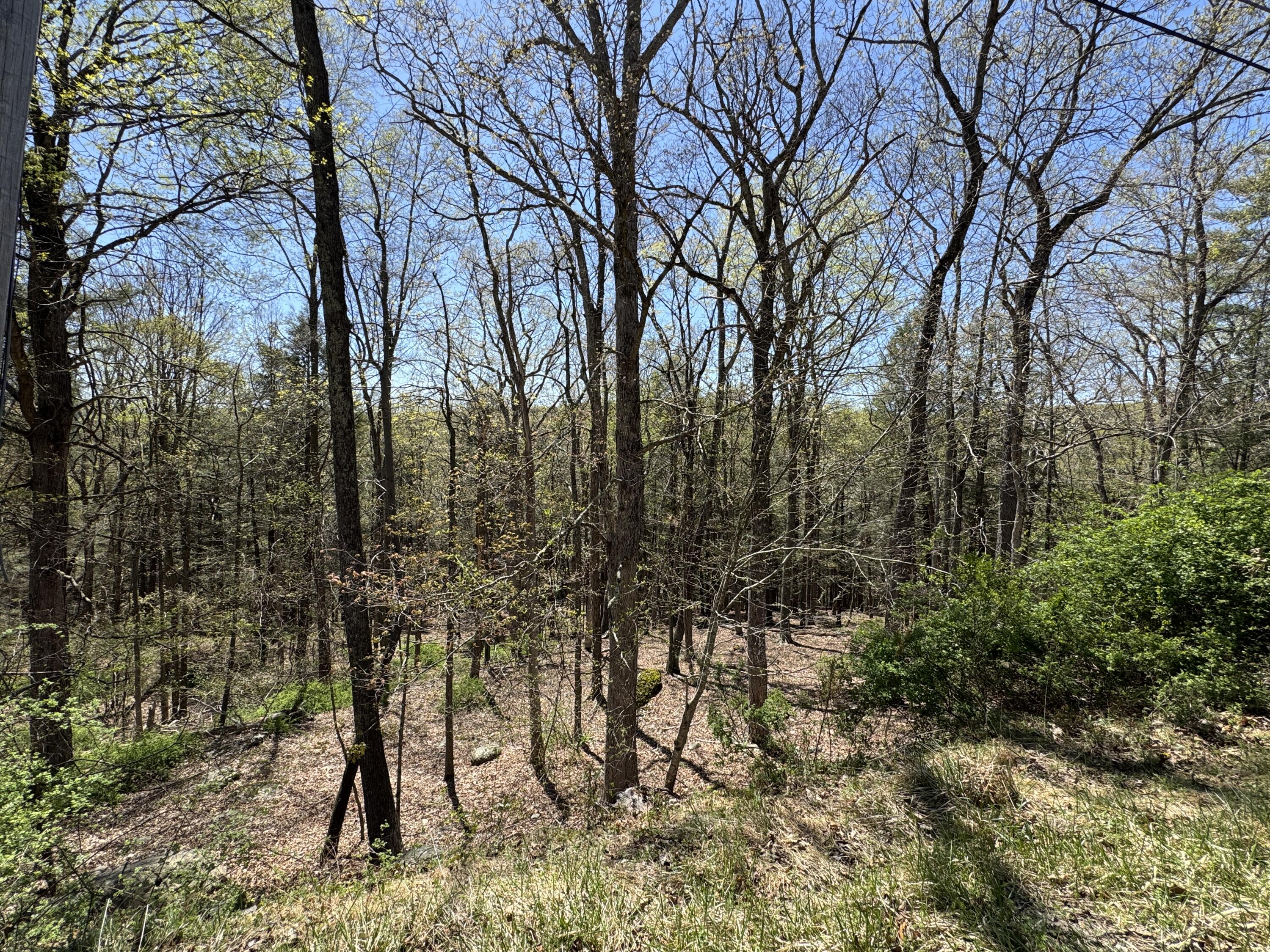 Lots 1992 & 1993 Manchester Drive, Bushkill, Pennsylvania image 3