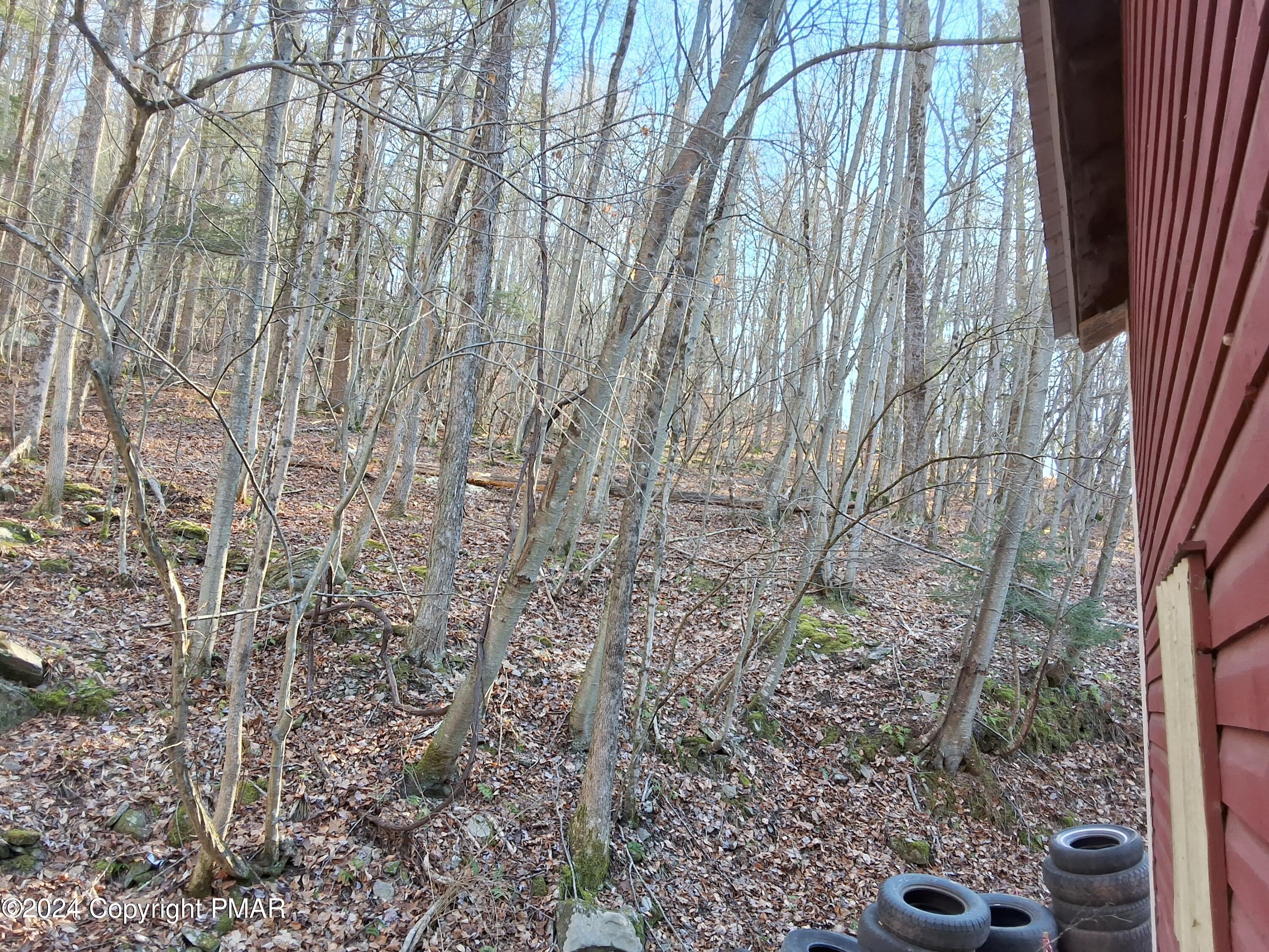 45 Grocery Hill Road, Equinunk, Pennsylvania image 31