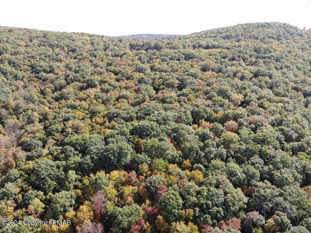 45 Grocery Hill Road, Equinunk, Pennsylvania image 11