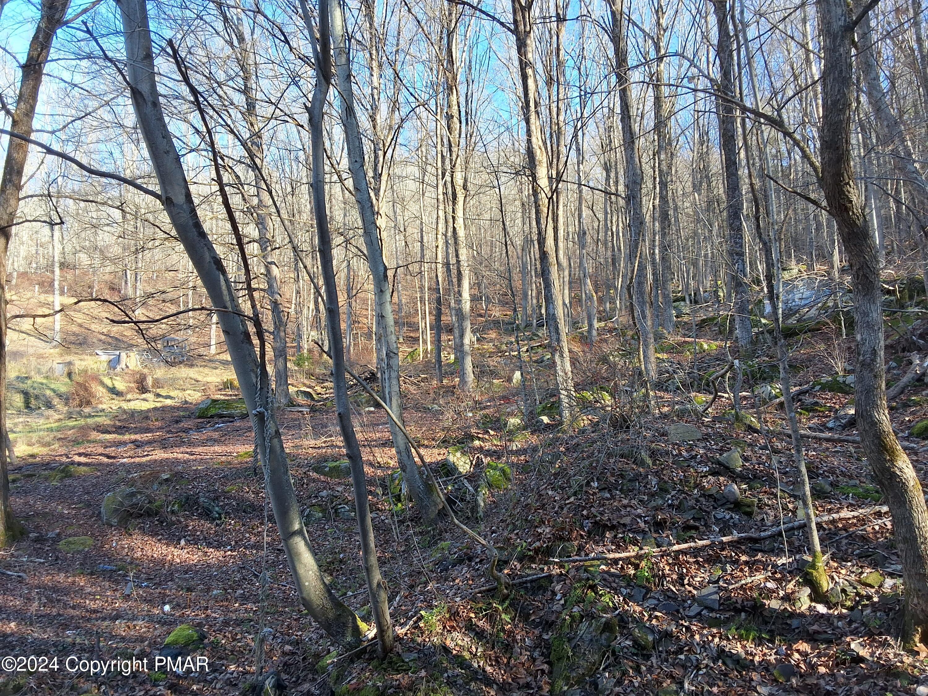 45 Grocery Hill Road, Equinunk, Pennsylvania image 32