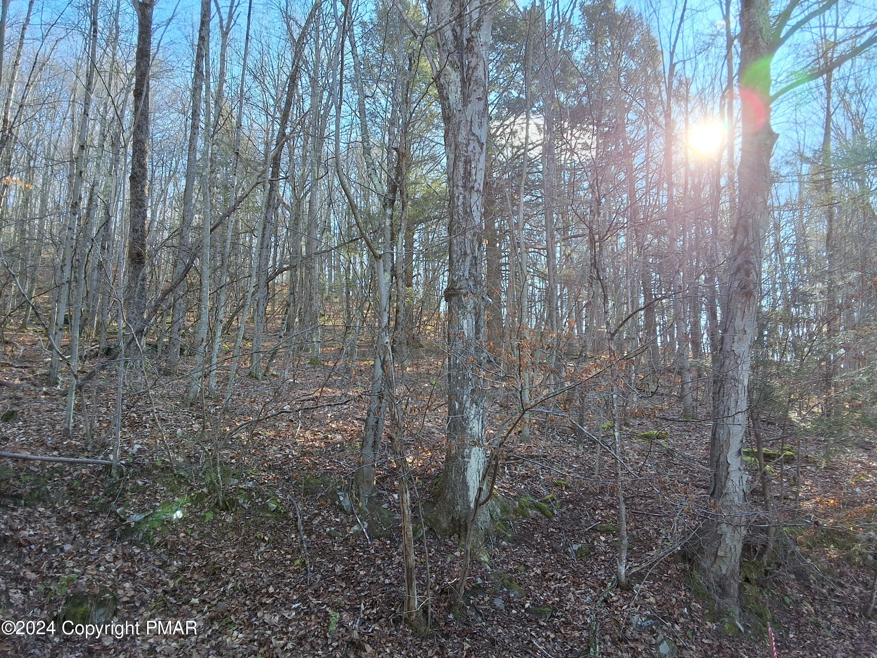 45 Grocery Hill Road, Equinunk, Pennsylvania image 36