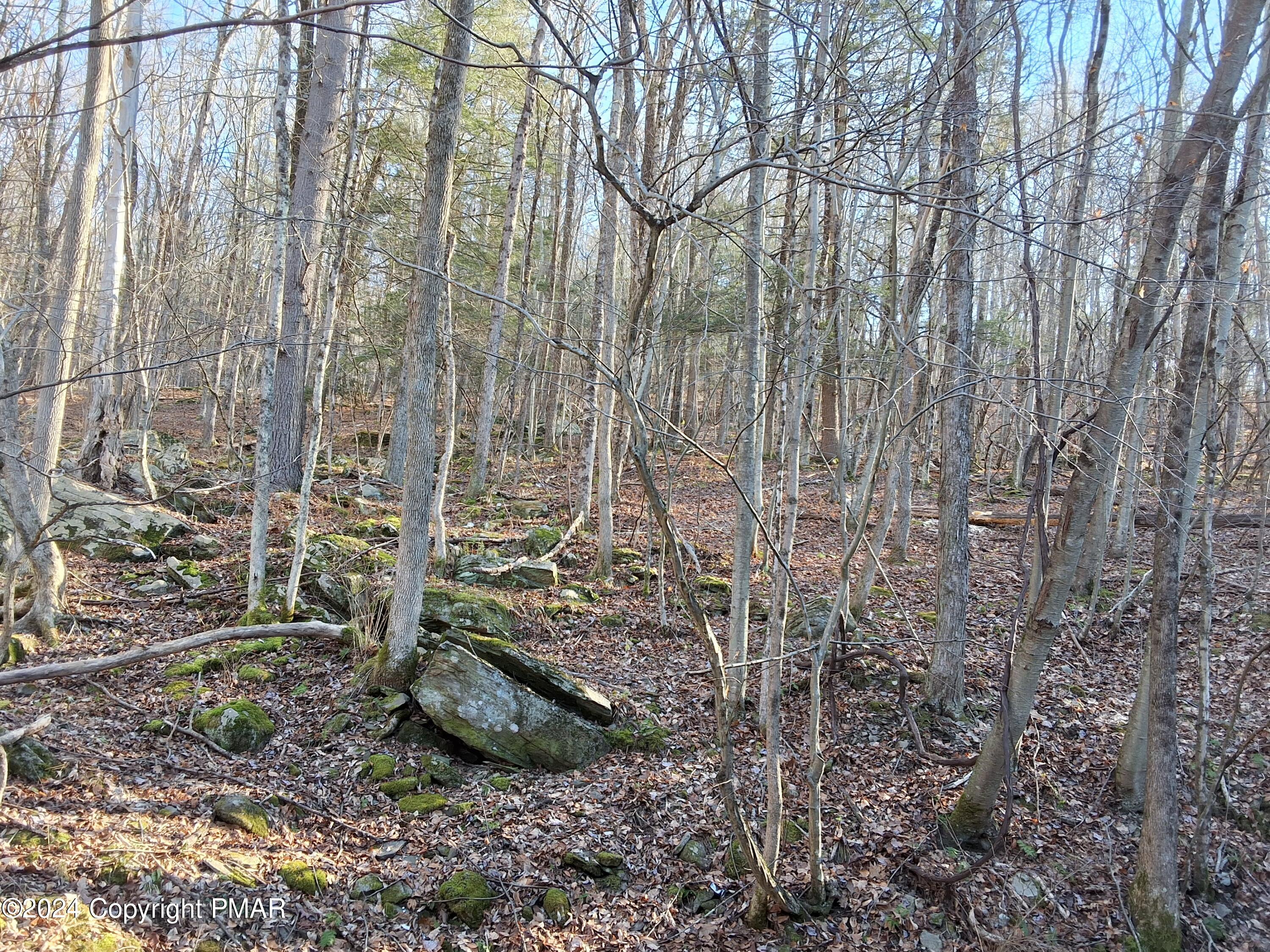 45 Grocery Hill Road, Equinunk, Pennsylvania image 30
