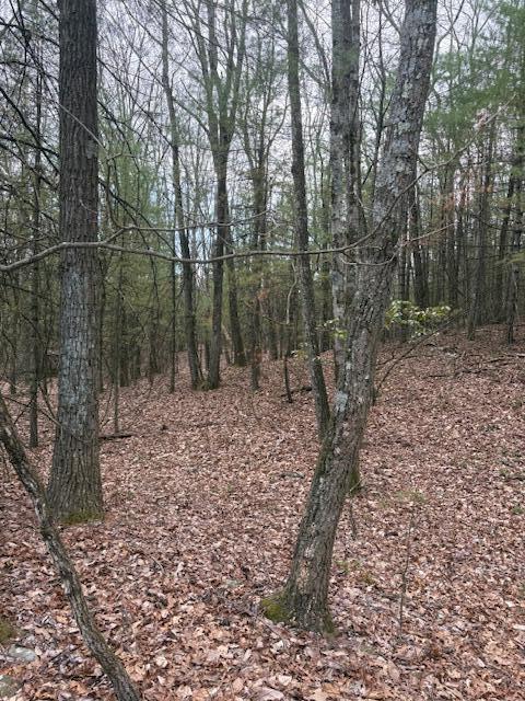 Lot 35 Majestic Dr 35, Saylorsburg, Pennsylvania image 4