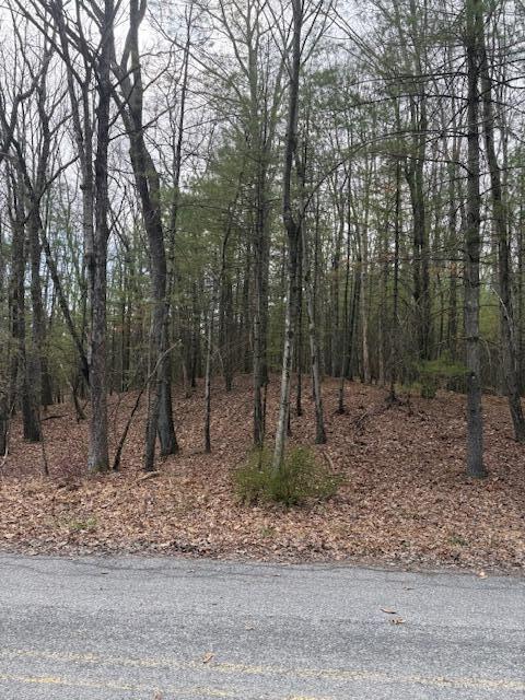 Lot 35 Majestic Dr 35, Saylorsburg, Pennsylvania image 3