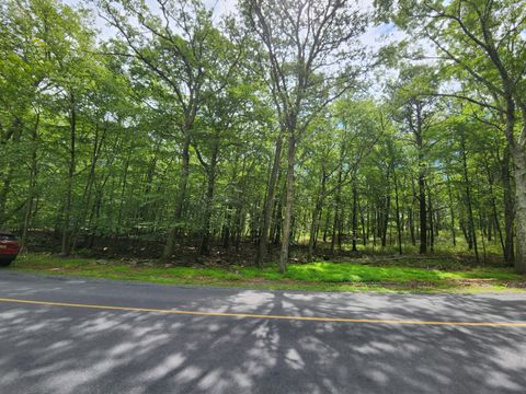Vacant Land For Sale - Mallard<br/> Bushkill, PA 18324