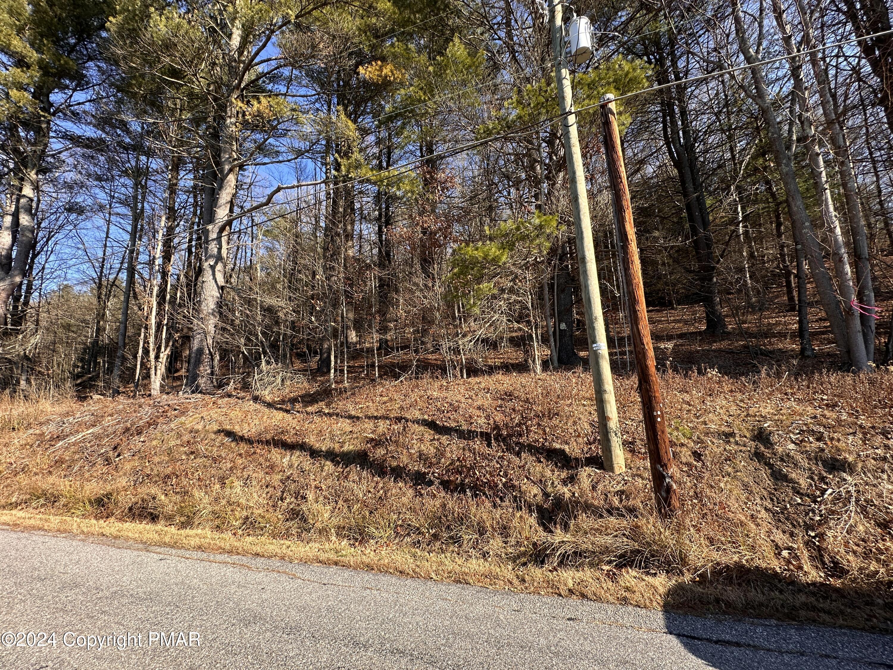 Swamp Rd, Hunlock Creek, Pennsylvania image 18