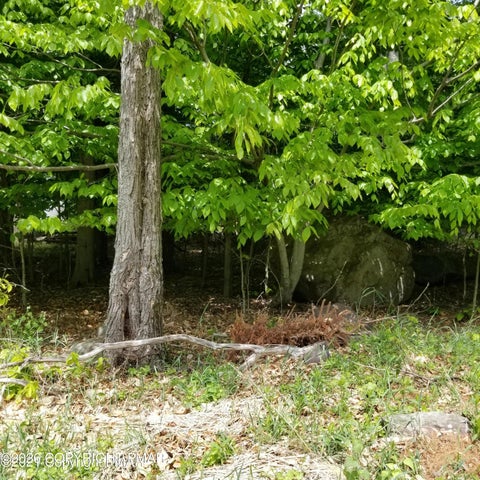 Vacant Land For Sale - 409 Bumble Bee Way 409 Way<br/> Tobyhanna, PA 18466