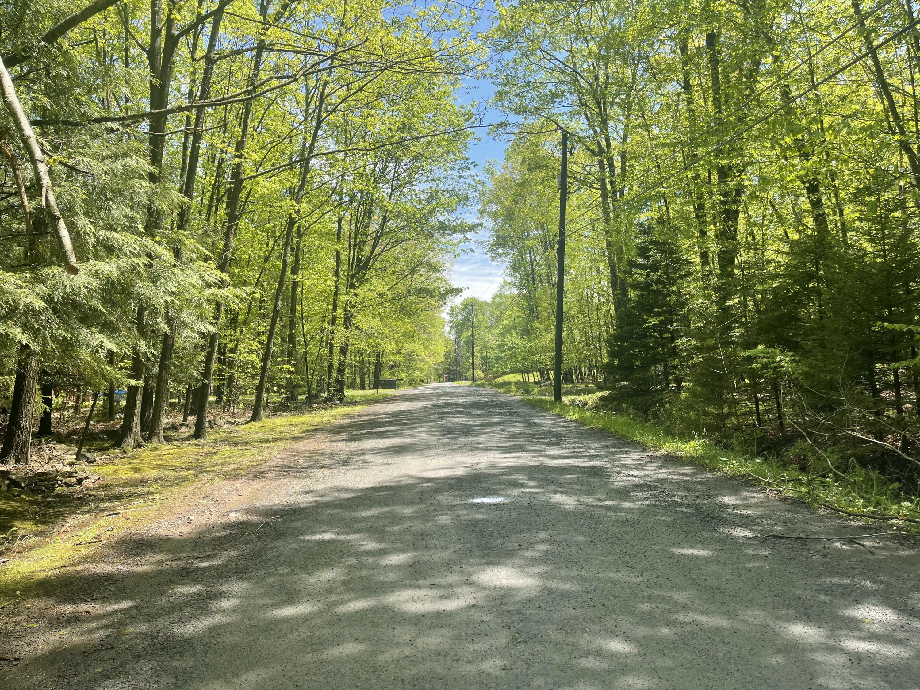188 Cross Street, Pocono Lake, Pennsylvania image 30