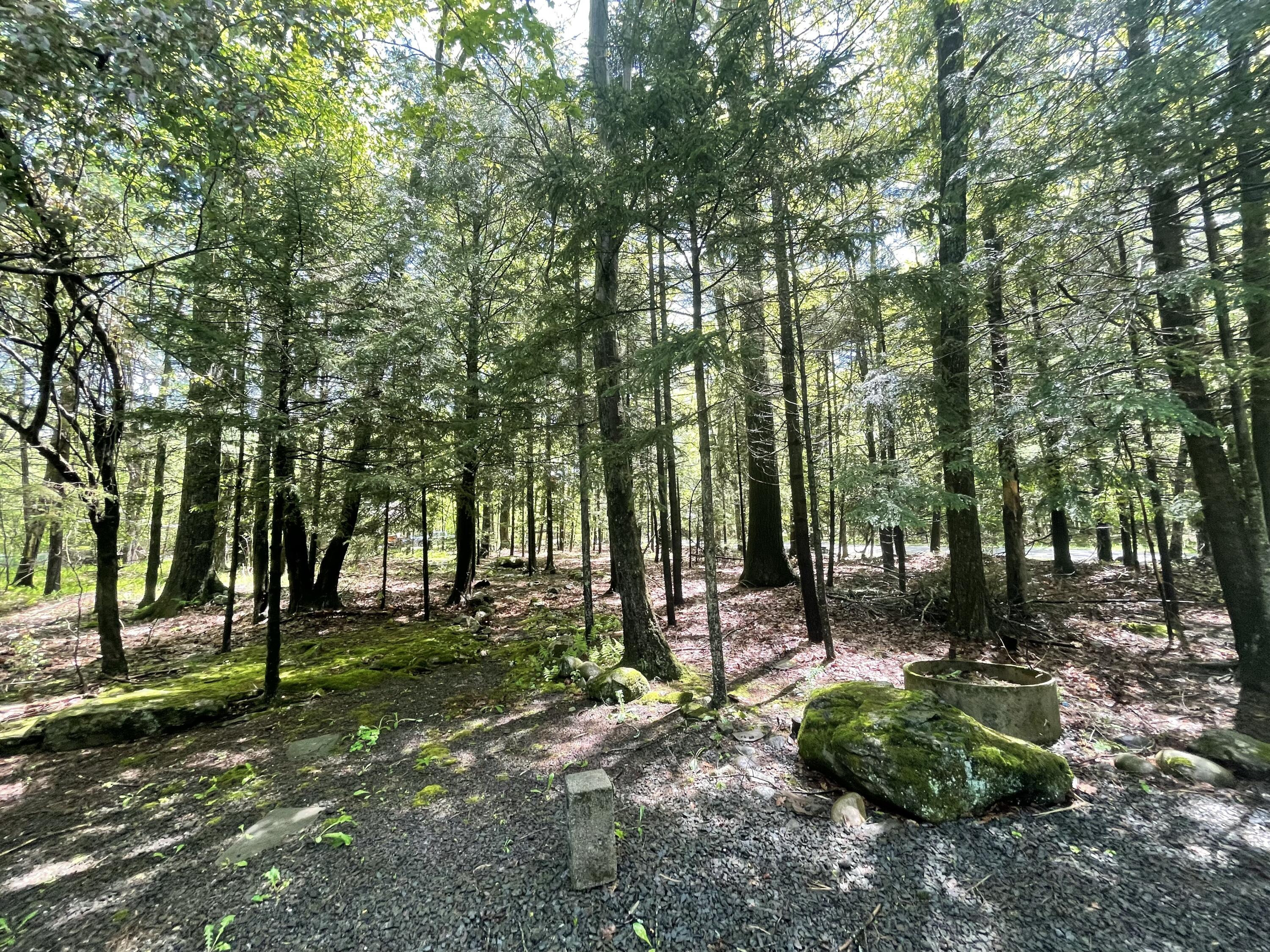 188 Cross Street, Pocono Lake, Pennsylvania image 27