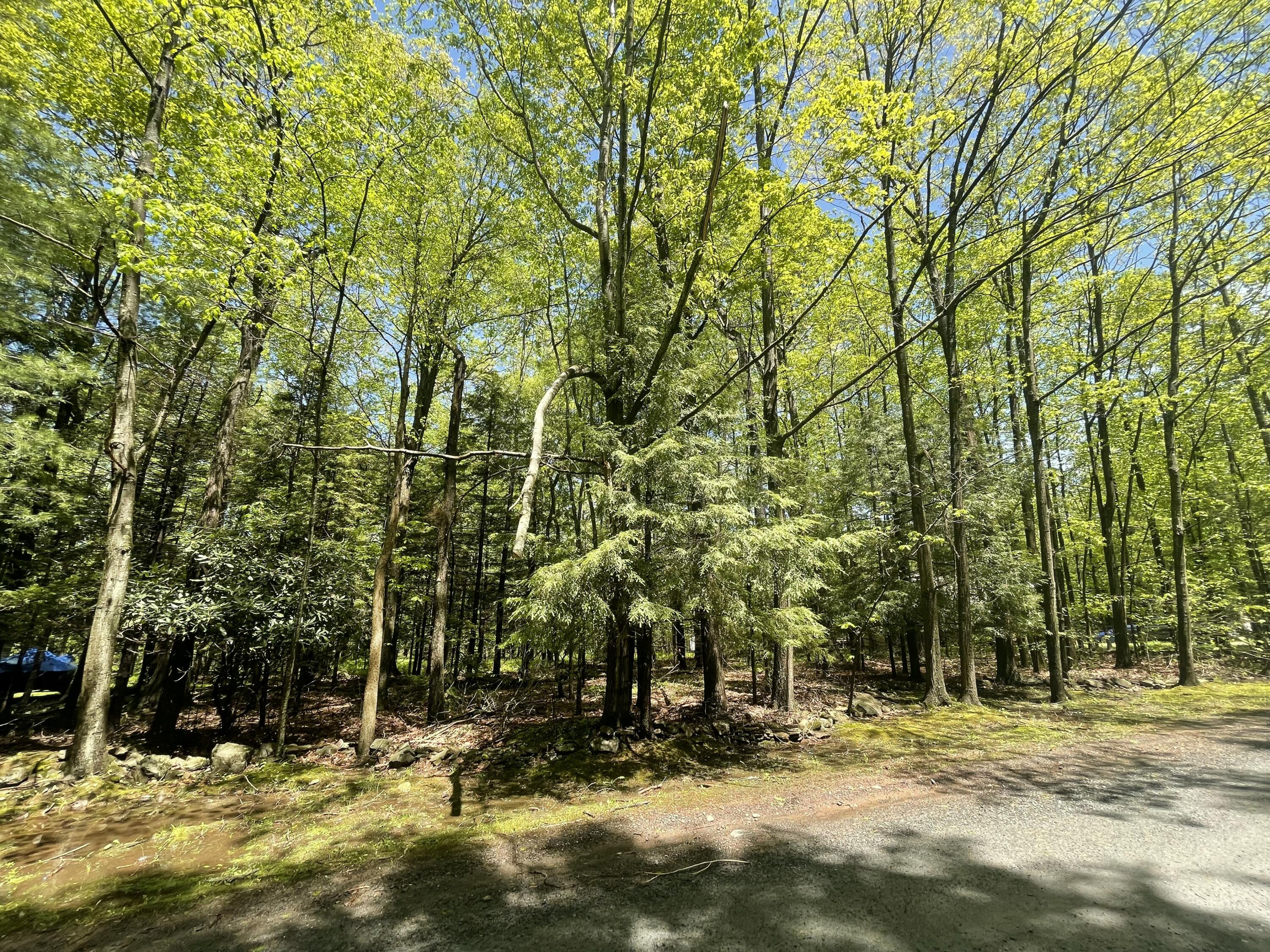 188 Cross Street, Pocono Lake, Pennsylvania image 29