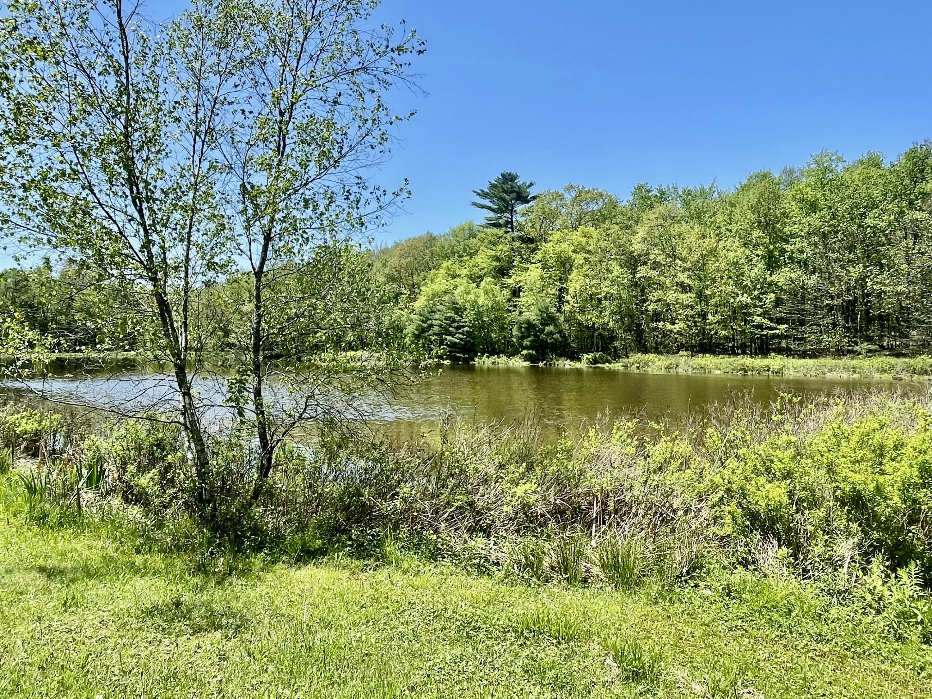188 Cross Street, Pocono Lake, Pennsylvania image 25