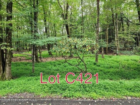 Lot C421 Lakota Lane Albrightsville PA 18210
