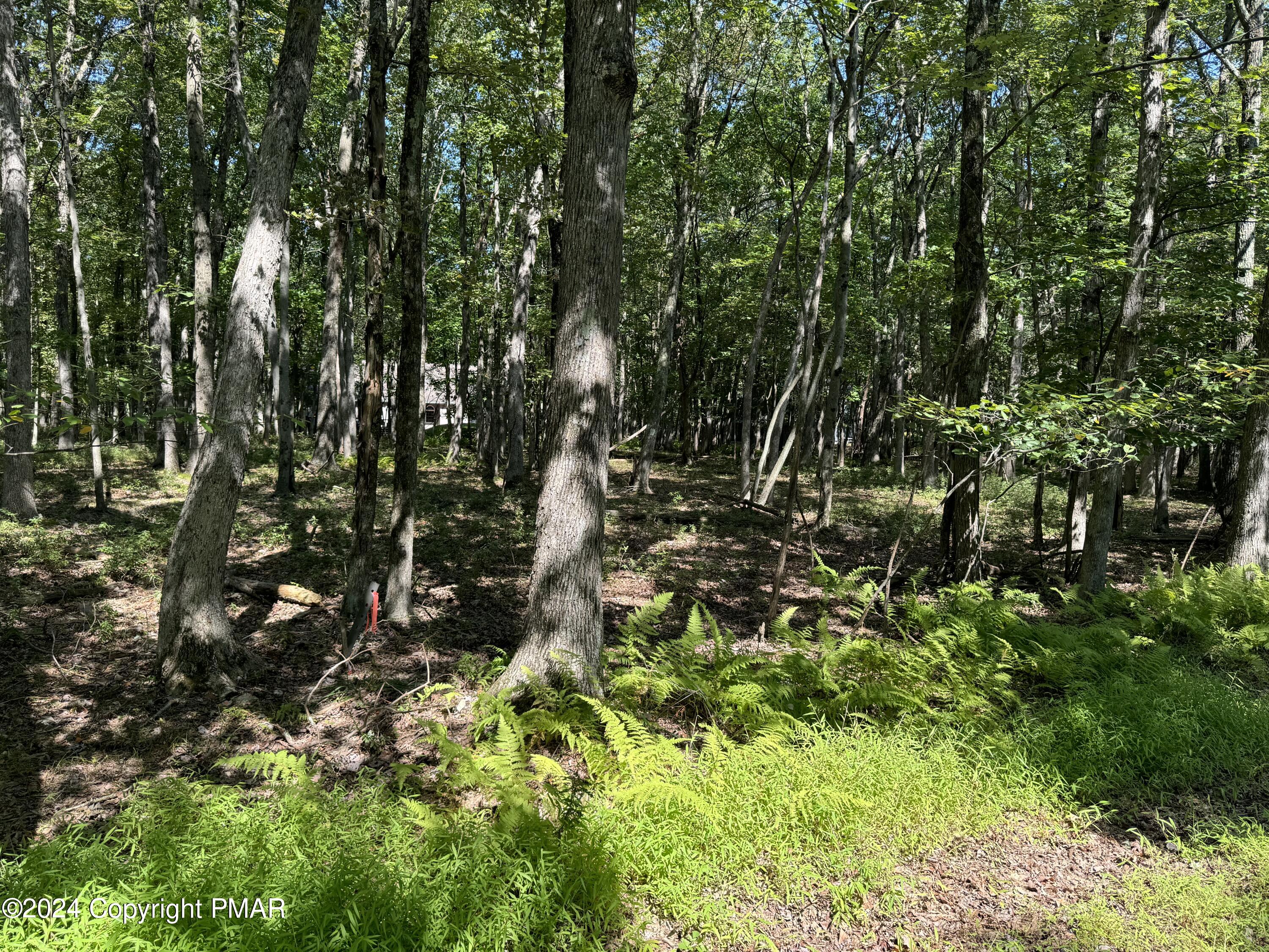 Fvi78 Mckuen Way, Albrightsville, Pennsylvania image 3