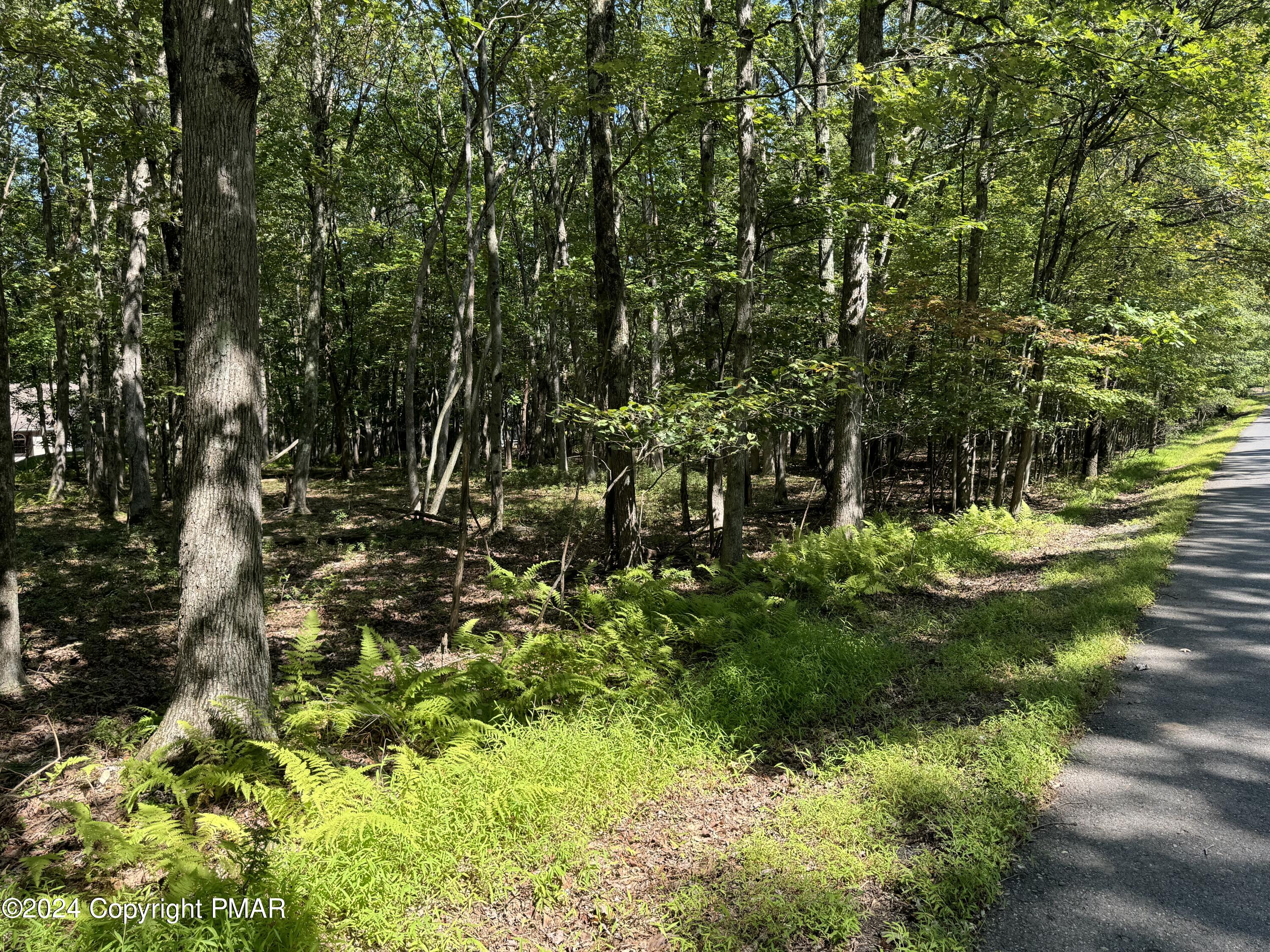 Fvi78 Mckuen Way, Albrightsville, Pennsylvania image 5