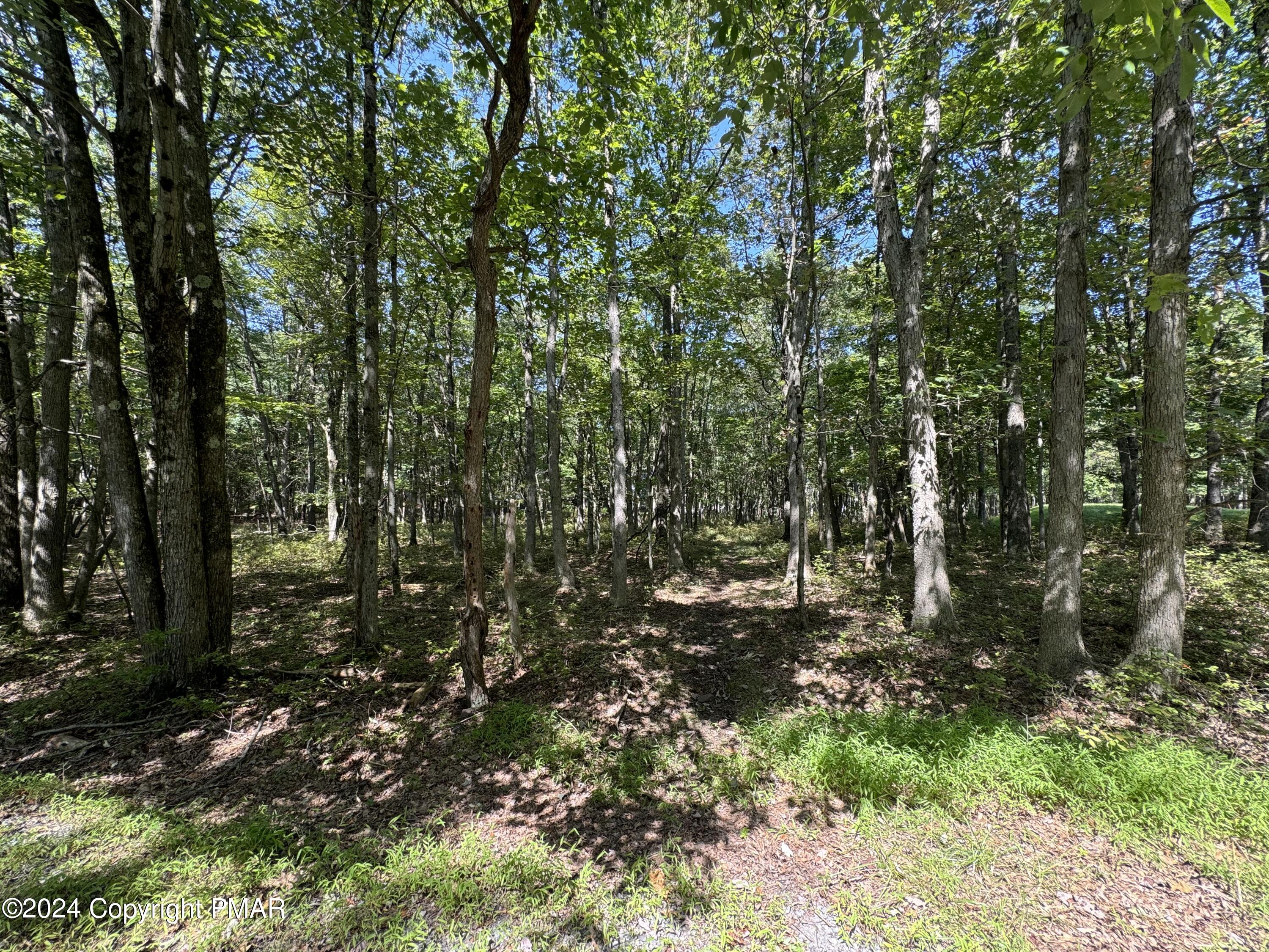 Fvi78 Mckuen Way, Albrightsville, Pennsylvania image 2