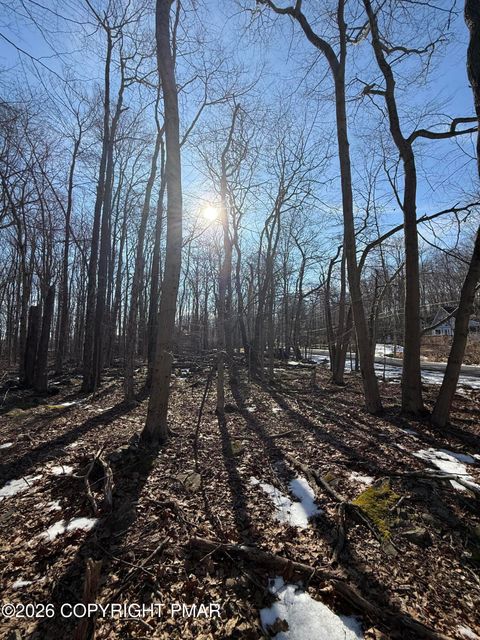 804 Selig Road Pocono Lake PA 18347