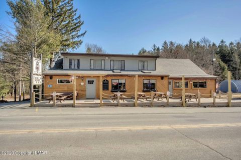 412 Rt 390 Tafton PA 18464