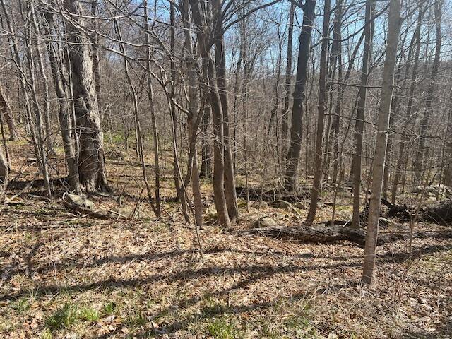 Maple Grove Road, Moscow, Pennsylvania image 2