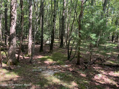 Vacant Land For Sale - 603 Sycamore Circle<br/> Albrightsville, PA 18210