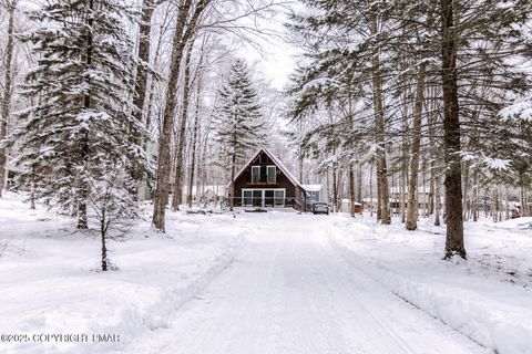 166 Beech Lane Pocono Lake PA 18347