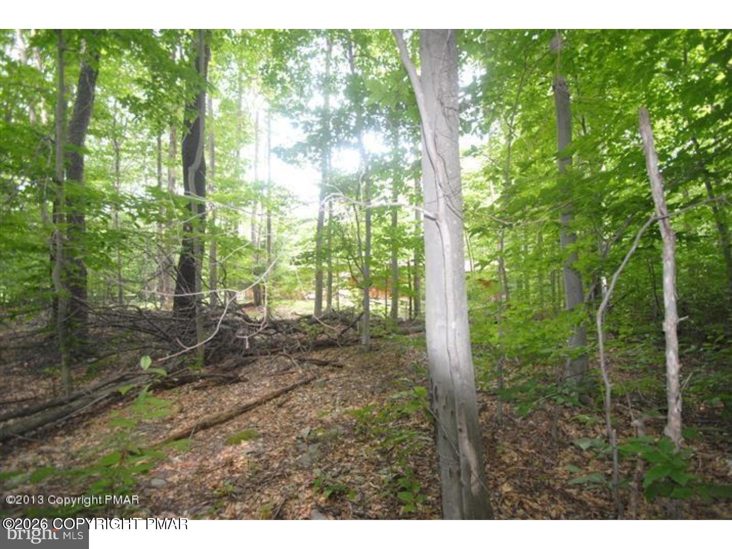 183 Sweet Briar Road Unit 1 SEC 3