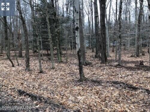 Timberlane Dr & Tamarack Trail, Albrightsville, Pennsylvania image 1