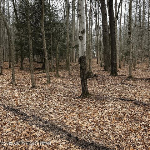 Vacant Land For Sale - Timberlane Dr & Tamarack Trail<br/> Albrightsville, PA 18210