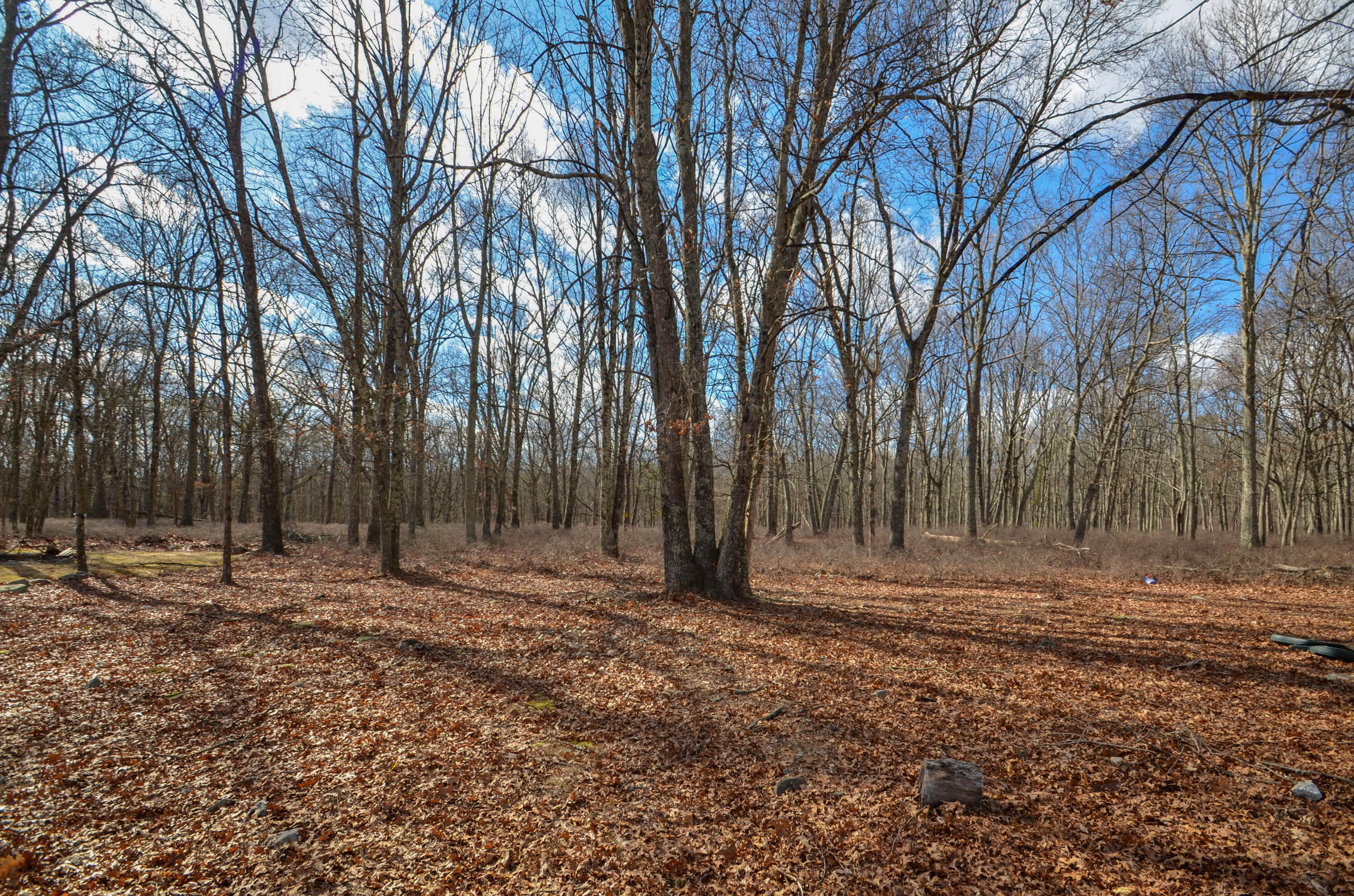 2138 Bedford Drive, Bushkill, Pennsylvania image 22