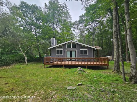 1513 Lake Lane Pocono Lake PA 18347