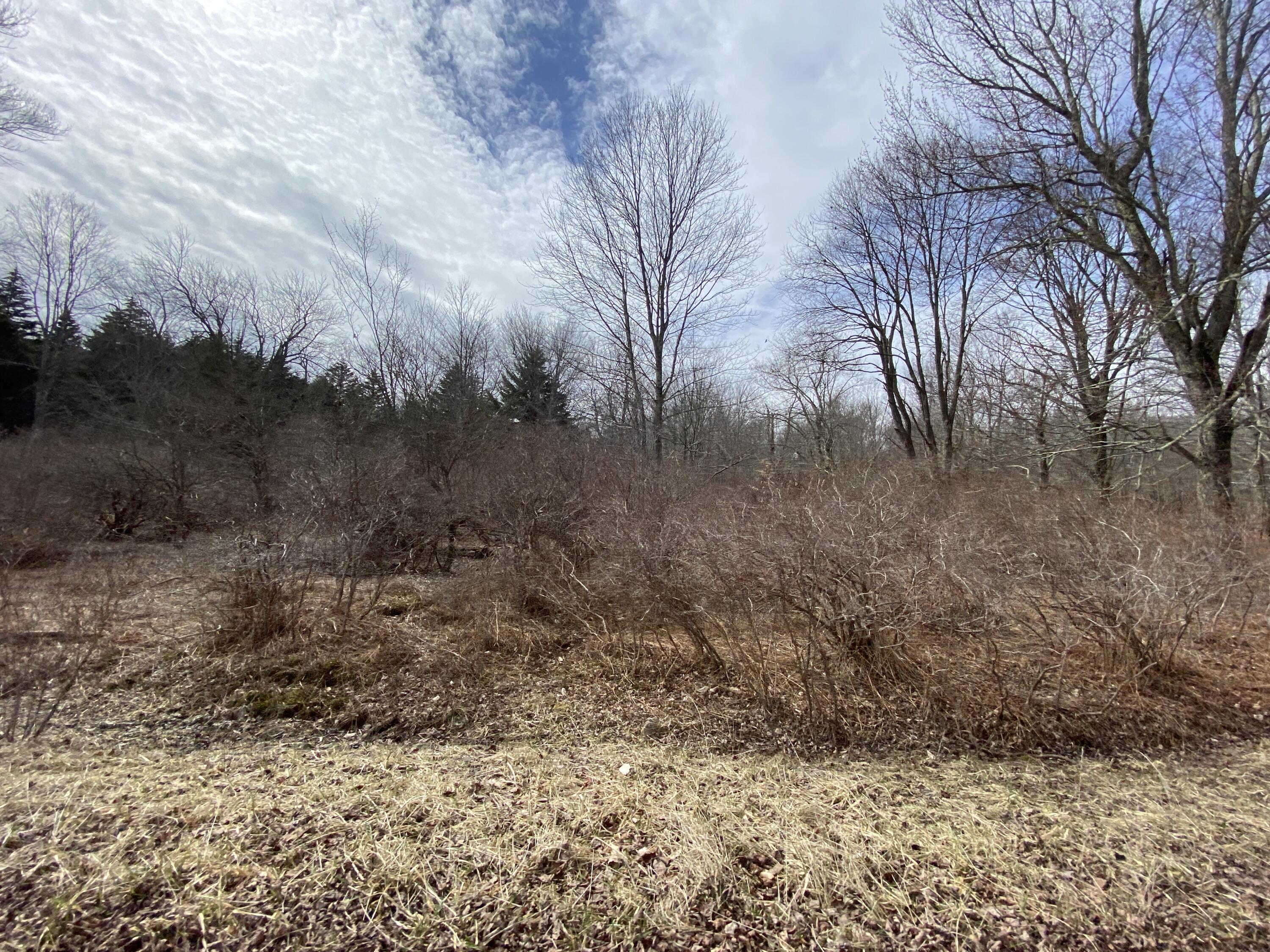 908 Wadi Road, Pocono Lake, Pennsylvania image 12