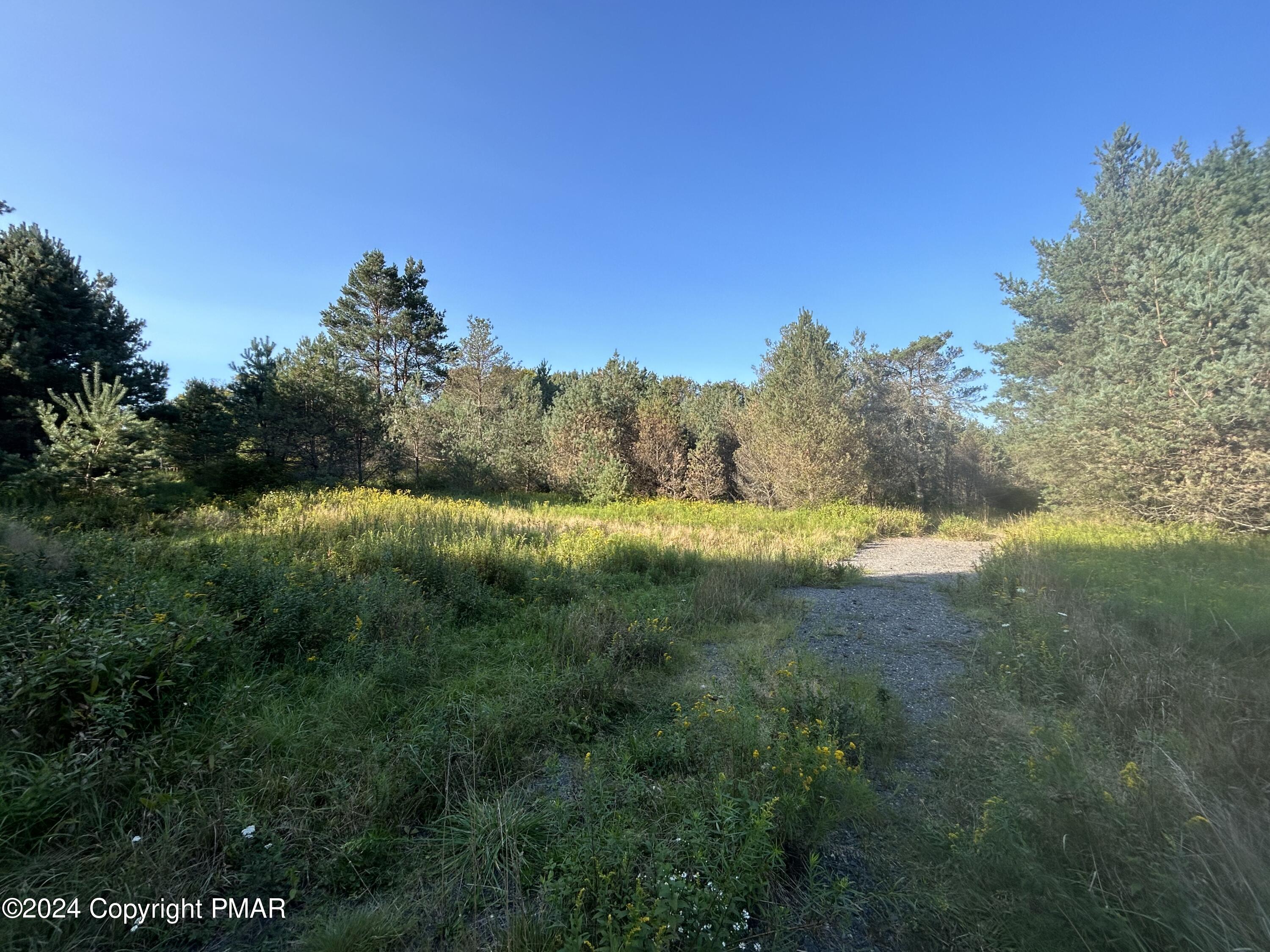 N Old Stage Road, Albrightsville, Pennsylvania image 8