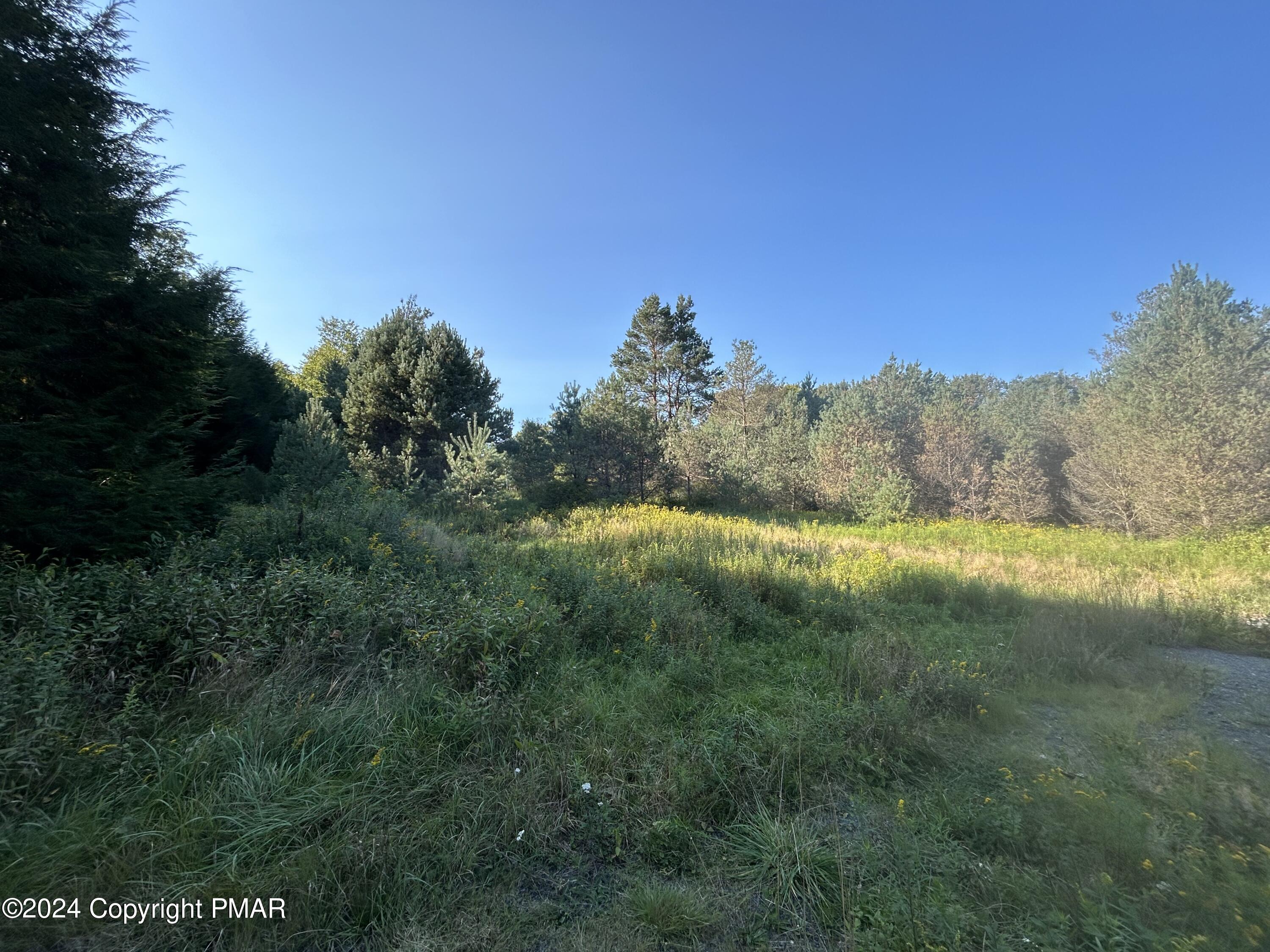 N Old Stage Road, Albrightsville, Pennsylvania image 7