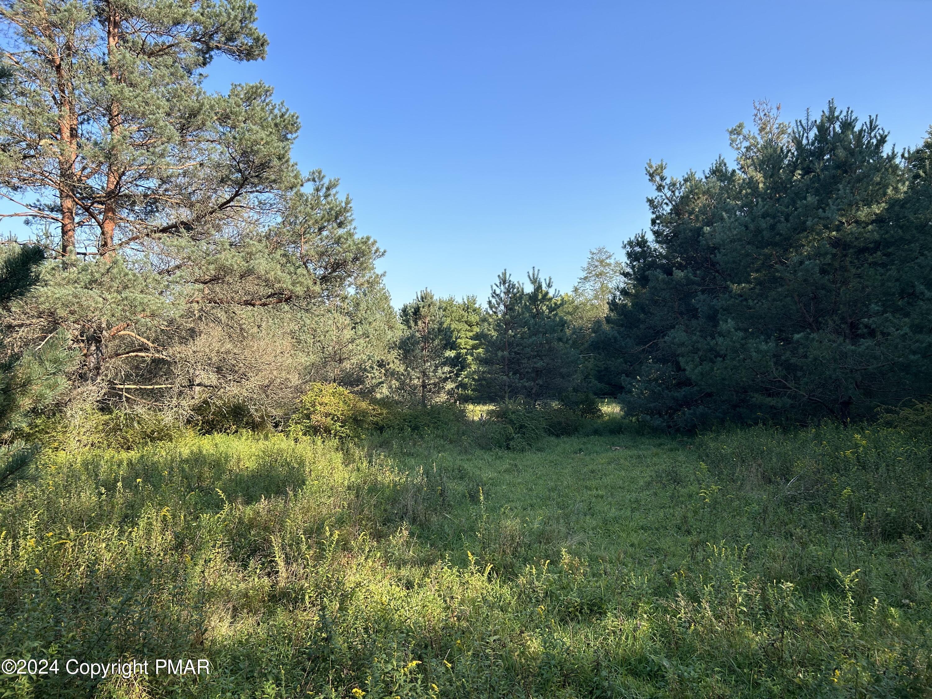 N Old Stage Road, Albrightsville, Pennsylvania image 23